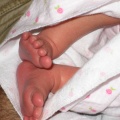 Callie's Feet