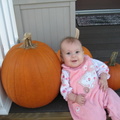 Callie's Pumpkins