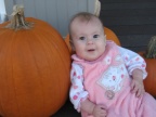 Callie's Pumpkins