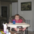 Callie_s_First_Birthday_Party_June_7_2009_pictures_by_Grandpa_Pat_0274__27.jpg