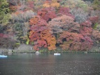 Fall in Arashiyama